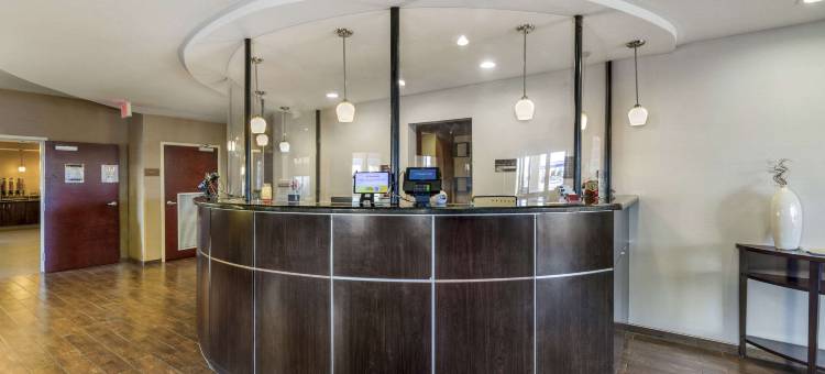 舒适套房酒店(Comfort Suites)图片