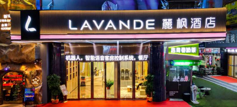 麗枫酒店(东莞谢岗店)图片