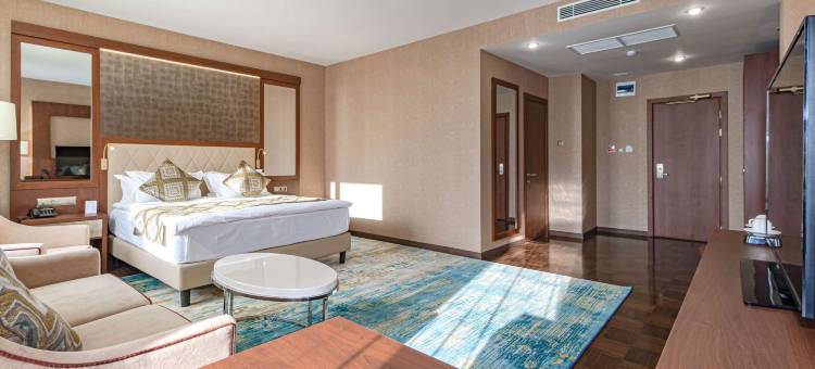 阿斯塔纳贝斯特韦斯特优质酒店(Best Western Plus Astana)图片