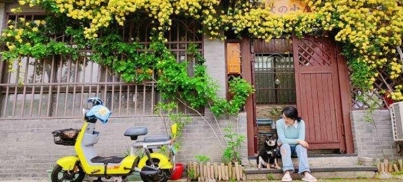 扬州闹市中爱的小屋图片