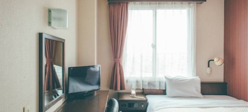 丰桥站酒店(Toyohashi Station Hotel)图片