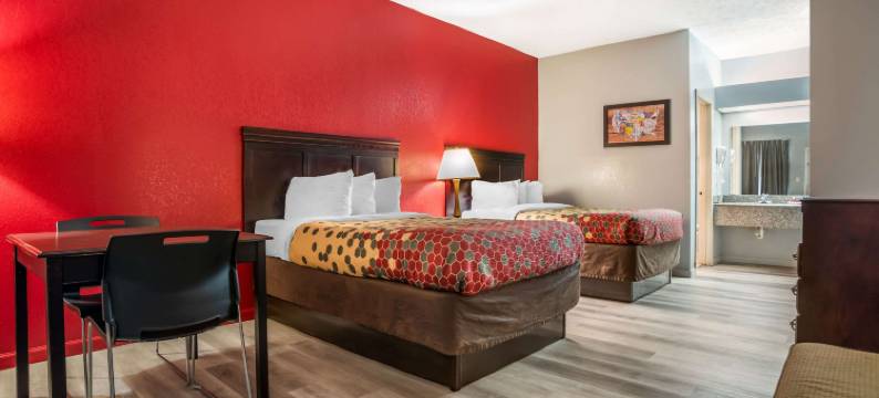 伊康套房旅馆(Econo Lodge Inn & Suites)图片