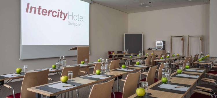 布达佩斯城际酒店(IntercityHotel Budapest)图片