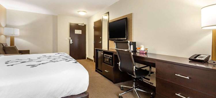 Wingate by Wyndham Jonesboro/Hodge图片