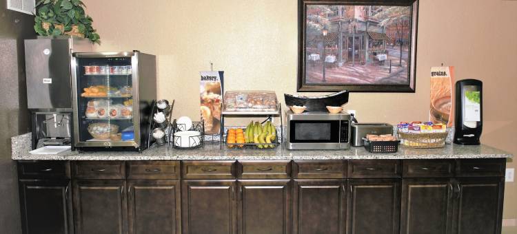 Microtel Inn & Suites by Wyndham Jacksonville Airport图片