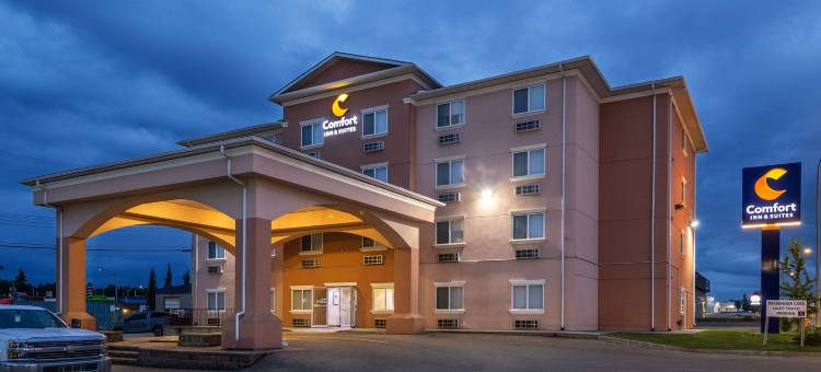 埃德森舒适酒店(Comfort Inn & Suites)图片