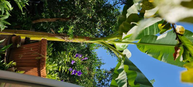 Sky Room Carrara Hydromassage with Parking图片