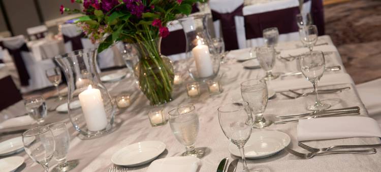 底特律利沃尼亚万豪酒店(Detroit Marriott Livonia)图片