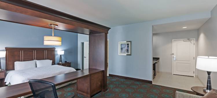 什里夫波特/伯锡尔城欢朋套房酒店(Hampton Inn & Suites Shreveport/Bossier City at Airline Drive)图片