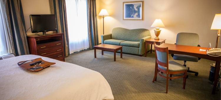 希尔顿欢朋套房酒店-斯普林菲尔德西南(Hampton Inn & Suites Springfield-Southwest)图片