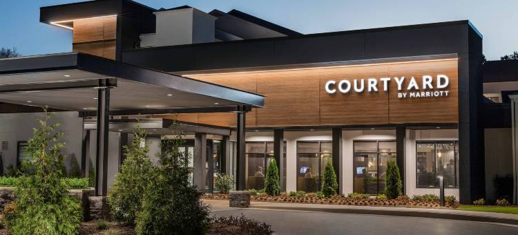 亚特兰大周界中心万怡酒店(Courtyard Atlanta Perimeter Center)图片