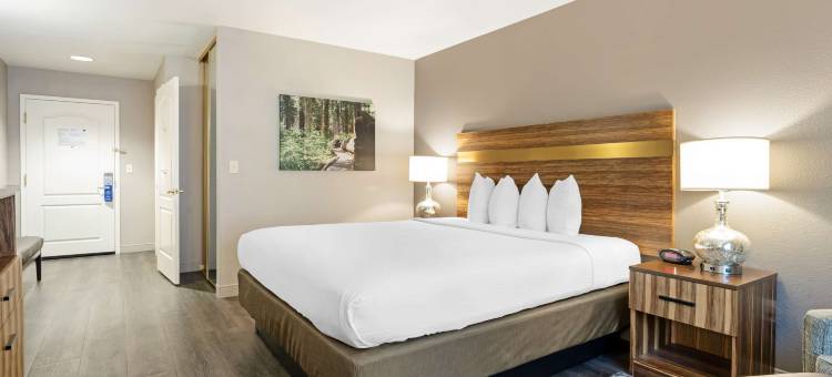 雪松贝斯特韦斯特酒店(Best Western Cedar Inn  Suites)图片