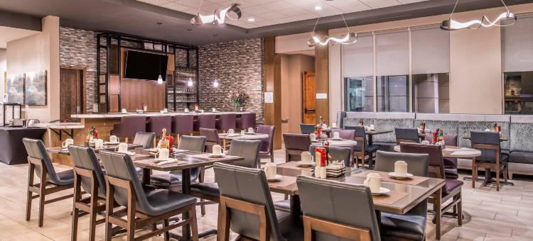 盐湖城市区希尔顿花园酒店(Hilton Garden Inn Salt Lake City Downtown)图片