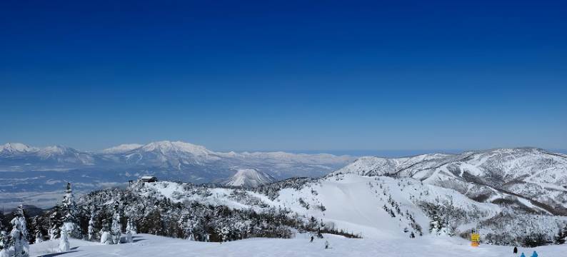 Nozaru青年旅馆(Nozaru Onsen Hostel)图片