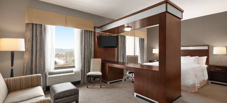 曼斯费尔德欢朋套房酒店(Hampton Inn & Suites Mansfield)图片