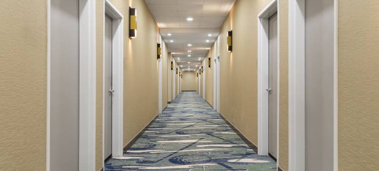 阿马里洛西欢朋酒店及套房(Hampton Inn & Suites by Hilton Amarillo West)图片