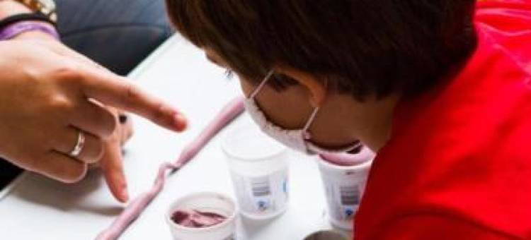 Fazenda São Luiz da Boa Sorte图片