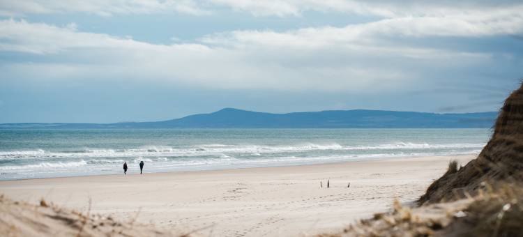 Harbour Nights 7E图片