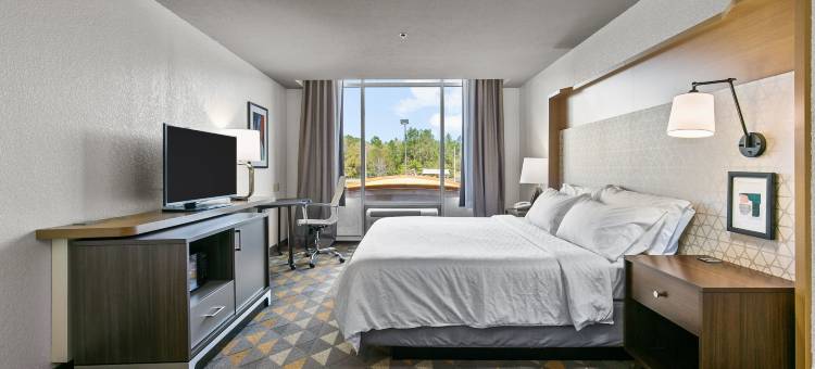 智选假日套房酒店卢斯代尔(Holiday Inn Express & Suites Lucedale)图片