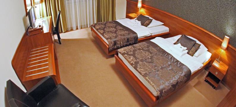 森泰瑞酒店(Hotel Centrum Nitra Garni Hotel with Free Parking)图片