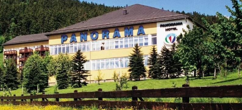 奥泊维森塔尔全景酒店(Panorama Hotel Kurort-Oberwiesenthal)图片