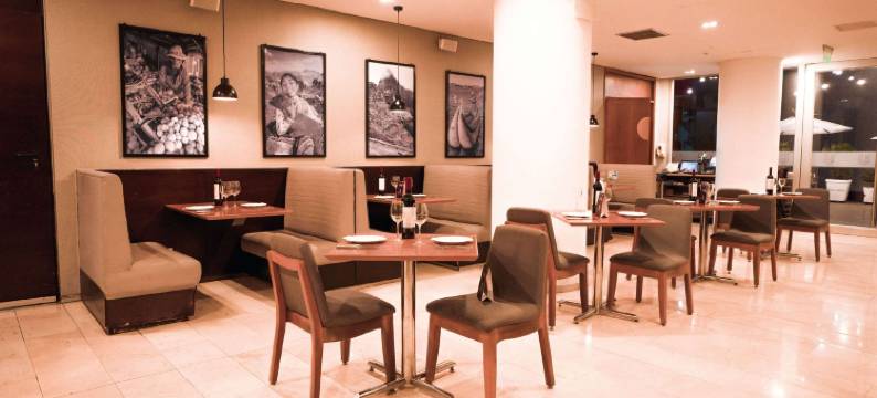 利马米拉弗洛雷斯温德姆Dazzler(Dazzler by Wyndham Lima Miraflores)图片