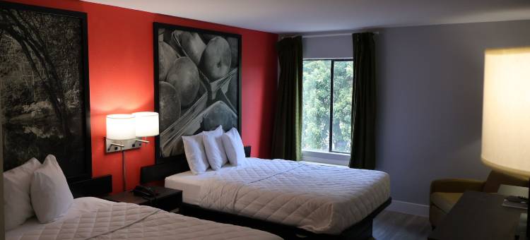 纳玛斯特旅馆及套房道森维尔(Namaste Inn & Suites Dawsonville)图片