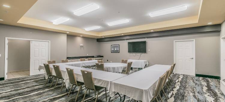 格兰伯里拉昆塔温德姆套房酒店(La Quinta Inn & Suites by Wyndham Granbury)图片