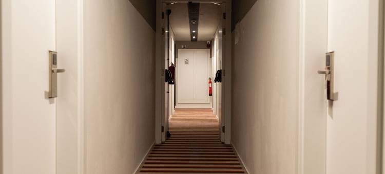 加拿大酒店(Hotel Canada)图片