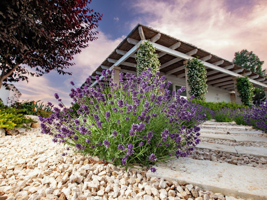 普利亚的Casa Mia