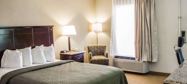 威尔逊I-95的品质套房酒店(Quality Inn & Suites Wilson I-95)图片