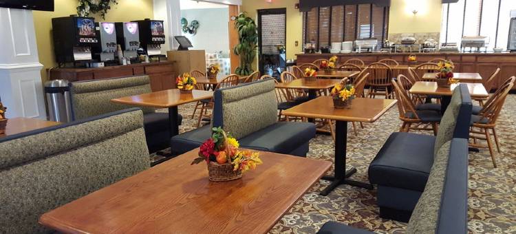 威廉斯堡布希花园区温德姆花园酒店(Wyndham Garden Williamsburg Busch Gardens Area)图片