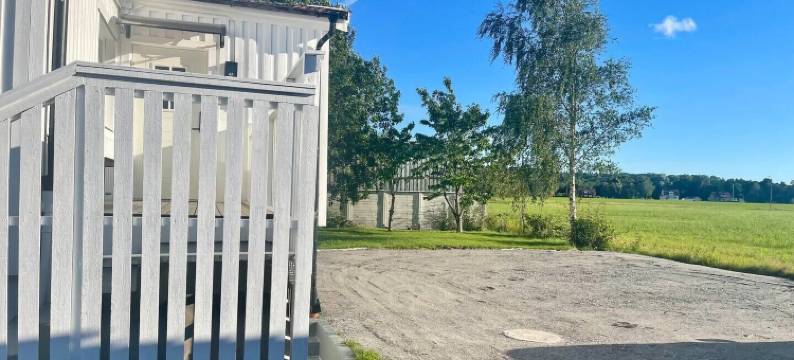 沙微蓝(Solglimt)图片