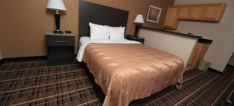 DFW机场北凯艺酒店(Quality Inn DFW Airport North)图片