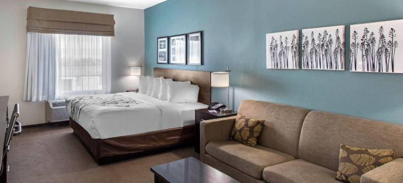 Sleep 旅馆 大斯普林北 I-20(Sleep Inn Big Spring North I-20)图片