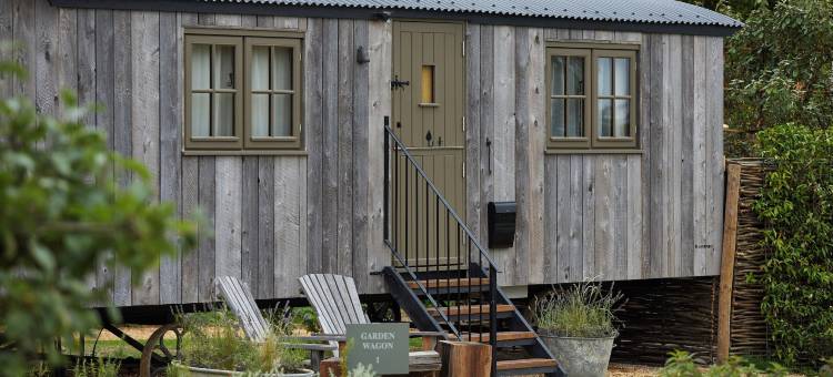 南唐斯的THE PIG - 西萨塞克斯(THE PIG in the South Downs - West Sussex)图片