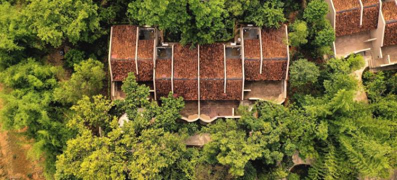 斑德哈瓦别墅(Bandhav Vilas)图片