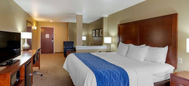 曼丹舒适套房酒店 - 俾斯麦(Comfort Inn & Suites Mandan - Bismarck)图片