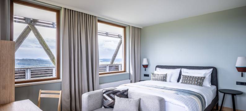 法尔肯斯泰纳酒店巴德莱昂费尔登(Falkensteiner Hotel Bad Leonfelden)图片