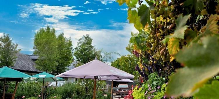 西区酒店(The Inn West End)图片