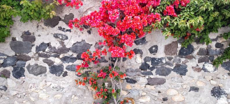 乔治及乔安娜套房酒店(George & Joanna Suites Santorini)图片