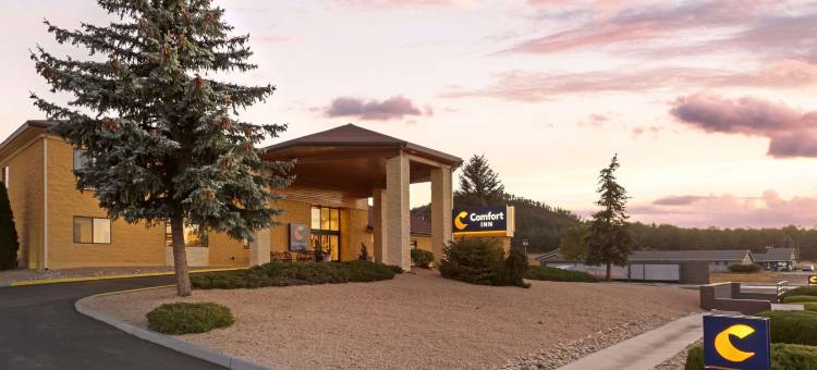 近大峡谷舒适酒店(Comfort Inn Near Grand Canyon)图片