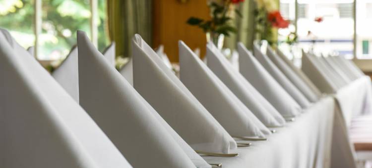 大象酒店(Hotel Elephant)图片