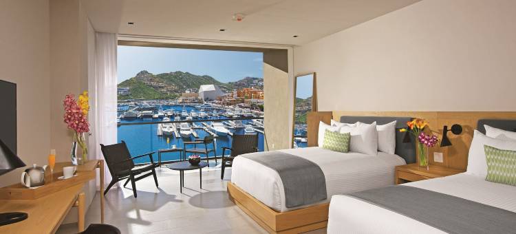 屏息卡波圣卢卡斯全包酒店(Breathless Cabo San Lucas Resort & Spa)图片