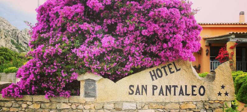 圣潘塔里奥酒店(Hotel San Pantaleo)图片