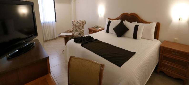 米西翁阿瓜斯卡连特斯卵苏尔酒店(Hotel Misión Aguascalientes Zona Sur)图片