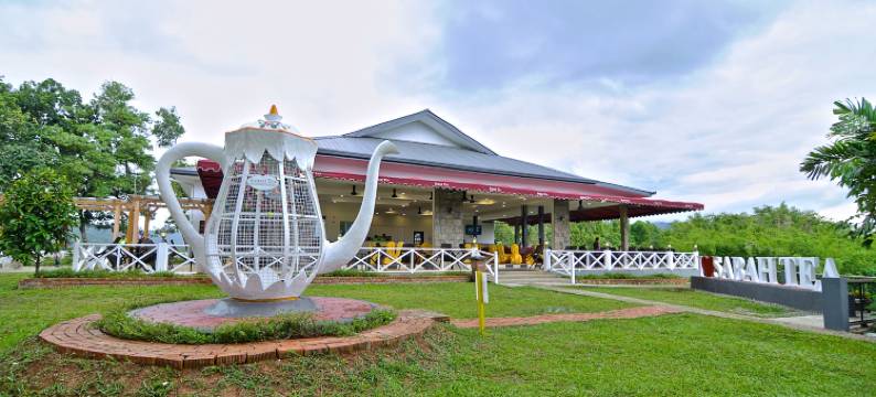 沙巴茶度假村(Sabah Tea Garden)图片