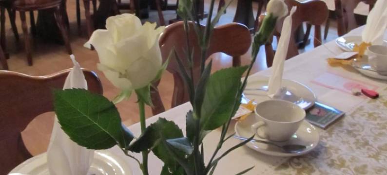 艾利克罗斯纳旅馆(Pension Elli Krössner)图片