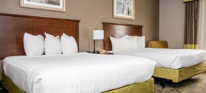 卡彭特大街酒店(Carpenter Street Hotel)图片