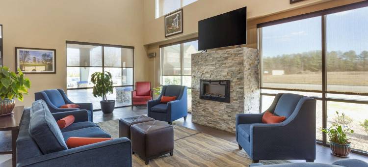 威尔逊凯-I-95富套房酒店(Comfort Suites Wilson - I - 95)图片